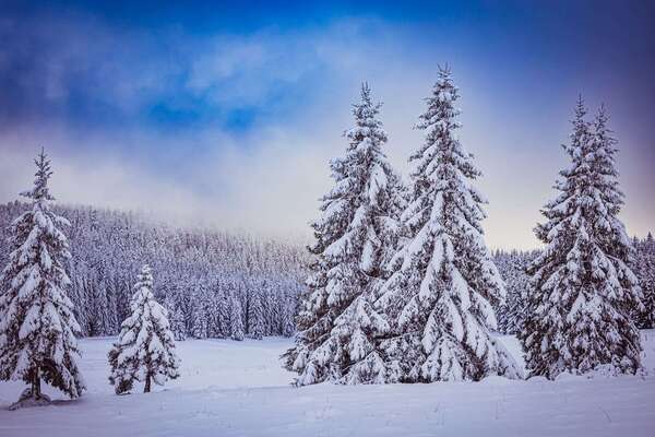 ❄️ Bien vivre l’hiver !