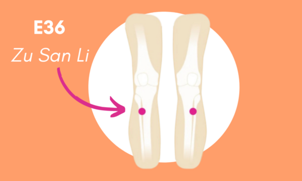 E36 – Le point de l’endurance et de la vitalité