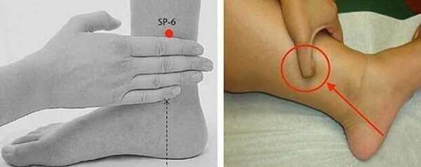 RP6 – San Yin Jiao, le point de l’équilibre hormonal, digestif et du sommeil