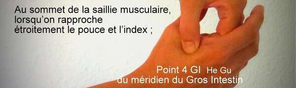 GI4 – He Gu, le point antidouleur et libérateur des tensions