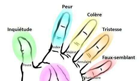 Quand les émotions parlent au corps : le lien entre les émotions et les organes selon la médecine traditionnelle chinoise