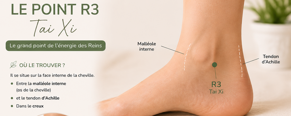 Le point R3 – Tai Xi : le grand point de l’énergie des Reins : point anti-fatigue