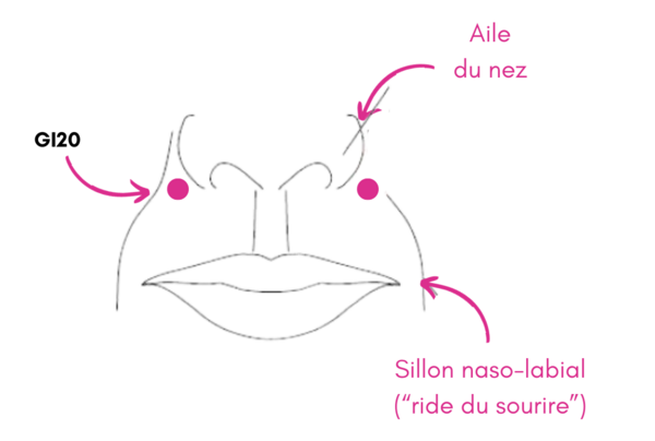 Le point GI20 – Ying Xiang : le point de la respiration et du visage pour libérer les sinus