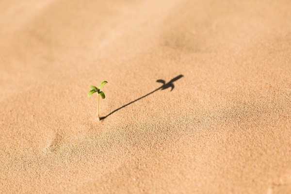  D'une vie à l'autre