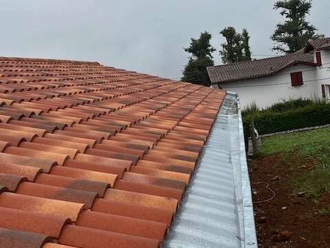 img_442420240119-437050-mnz0l