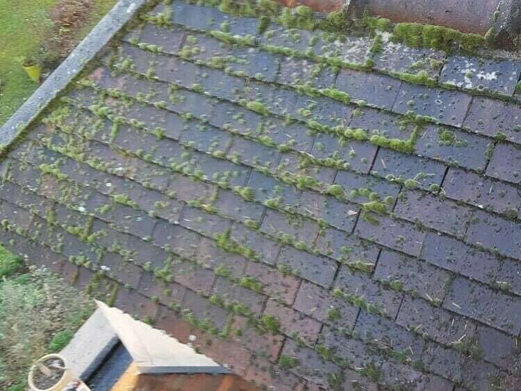 nettoyage_avant20210323-2605347-svrkkr