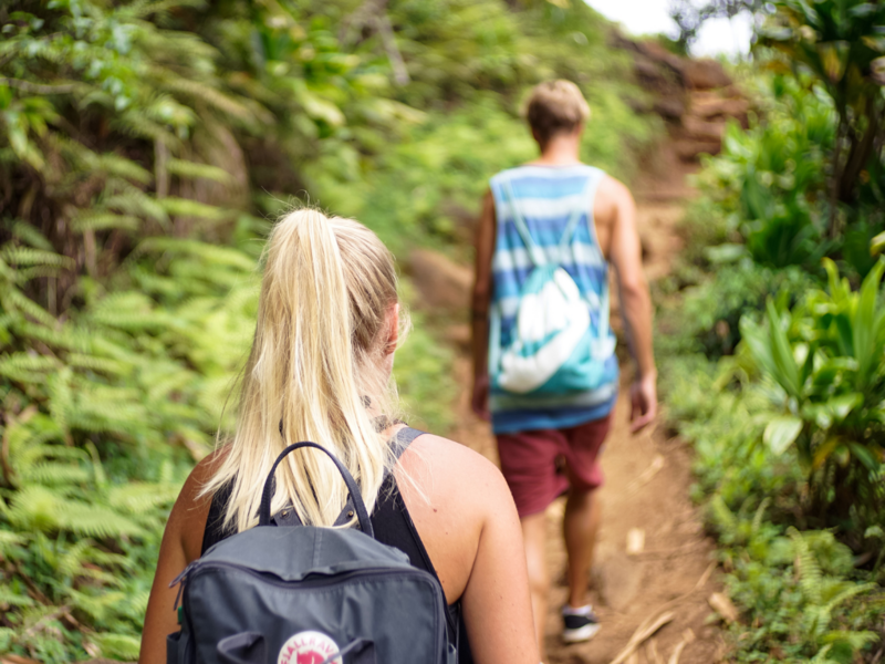 Nature & balades - conciergerie à Montévrain 