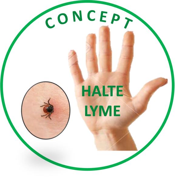 Concept Halte Lyme