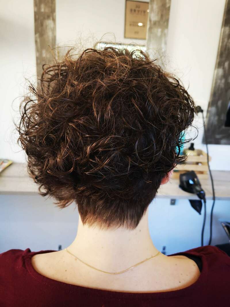 img_20191114_12084820221011-728286-1w35rct