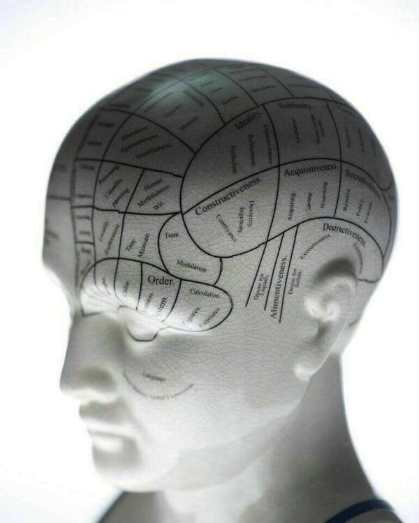 Quels sont les étonnants pouvoirs de transformation du cerveau ?