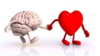 image coeur et cerveau 