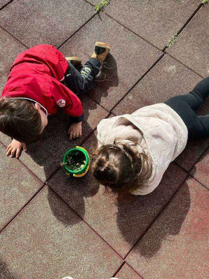 83e5446b-6a60-41a2-b3e3-9ca0d72c90e3