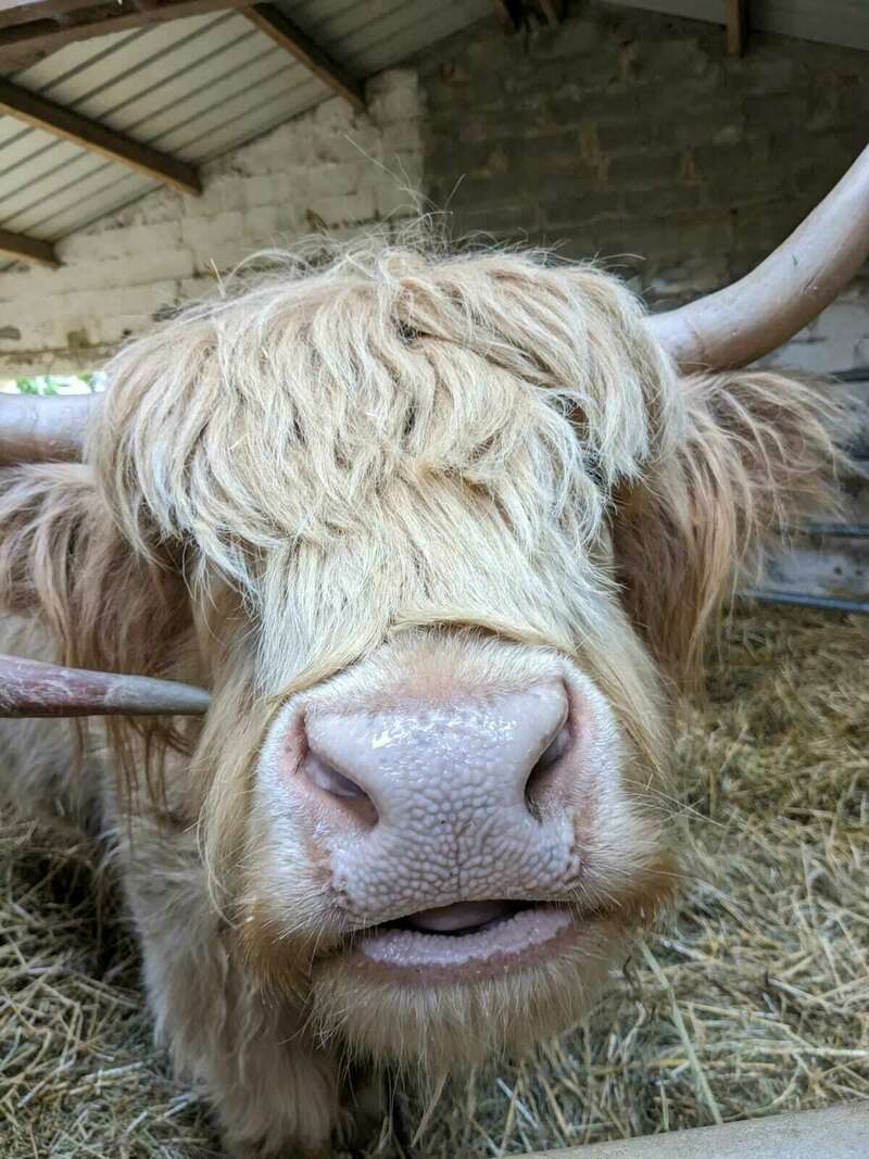 whatsapp_image_2023-03-30_at_17-46-5520230401-458002-ghou15