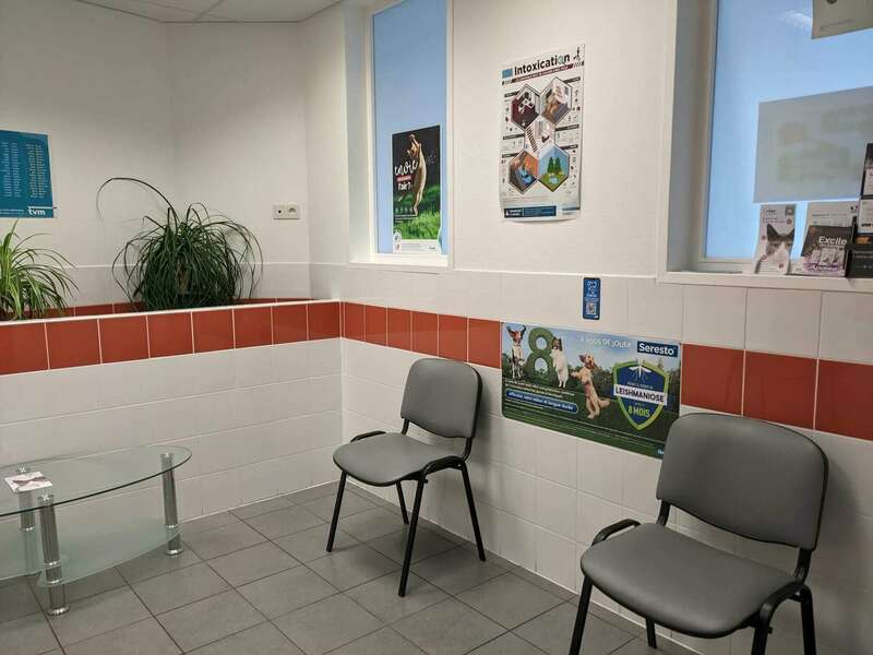 whatsapp_image_2023-04-01_at_15-57-04__2_20230401-453945-yxd7b6