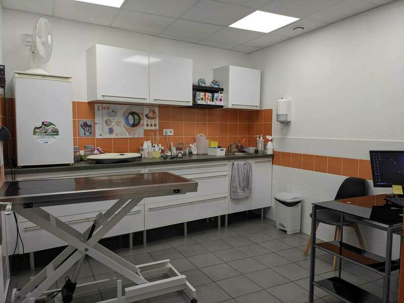 whatsapp_image_2023-04-01_at_15-57-0420230401-458002-1kvkn38