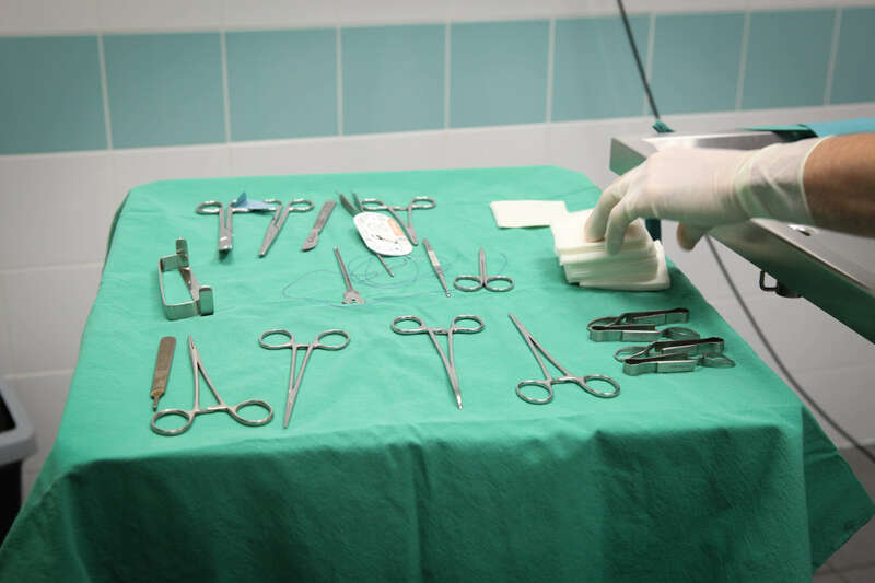 img_756120230401-458002-pazosc