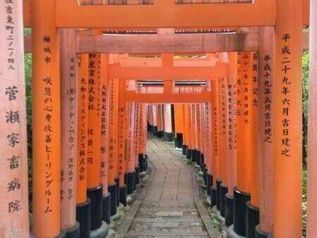 70751190_908603609524657_4329647559187365888_n