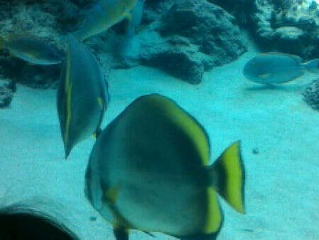 2017-okinawa-01-50d4a542a8