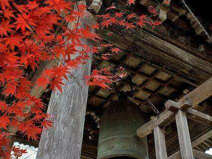 46777703_718529118532108_6731436688934961152_n