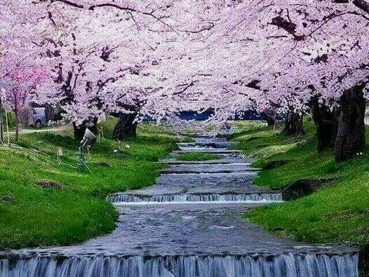 159839506_1867718530069377_8795073220800332359_n