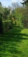 Noir Jeson Espace vert LUGI , Entretien de jardin à Saint-Rambert-d'Albon