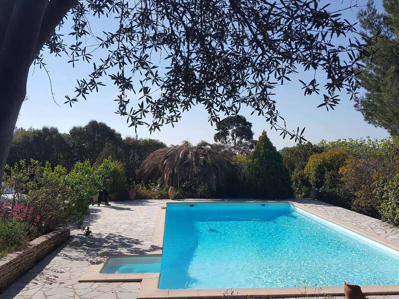 p_54020220215-3168667-11meluy