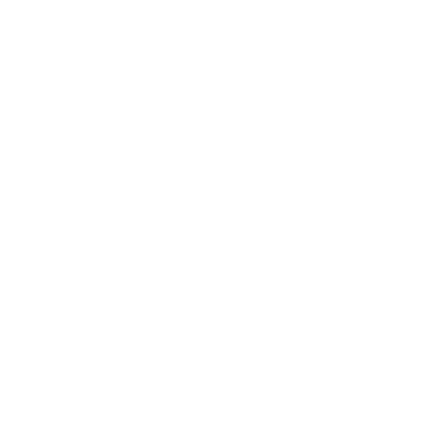 RKG - Reiki génération