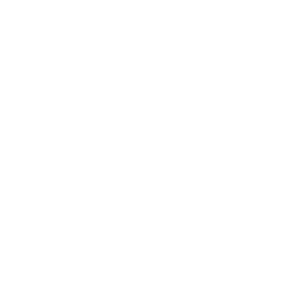 RKG - Reiki génération