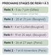 Formations reiki paris bougival 