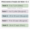 Formations reiki paris bougival 