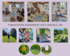 formation reiki en immersion sur guainville