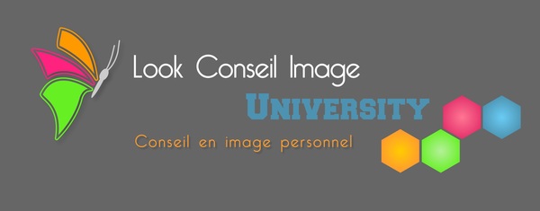 Logo Look Conseil Image/Corps Accord