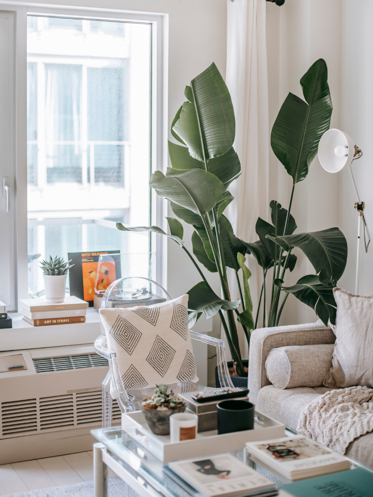 portrait_34_-_nice__29_