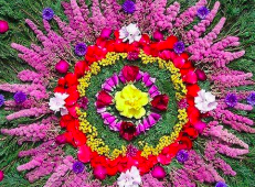 Les bienfaits du Mandala