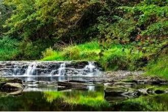 LES BIENFAITS DE LA NATURE POUR LA SANTE