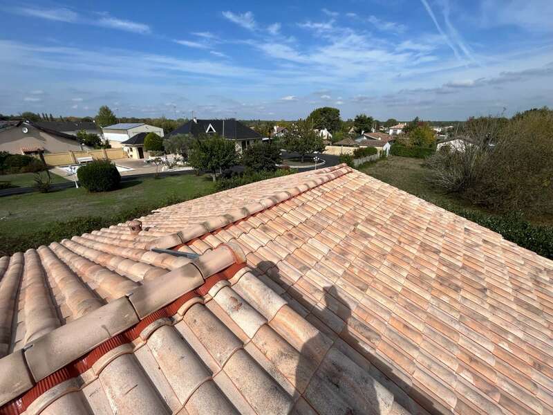 01fab64d01ed423a9bb753cdb57bb55bd550eeca49