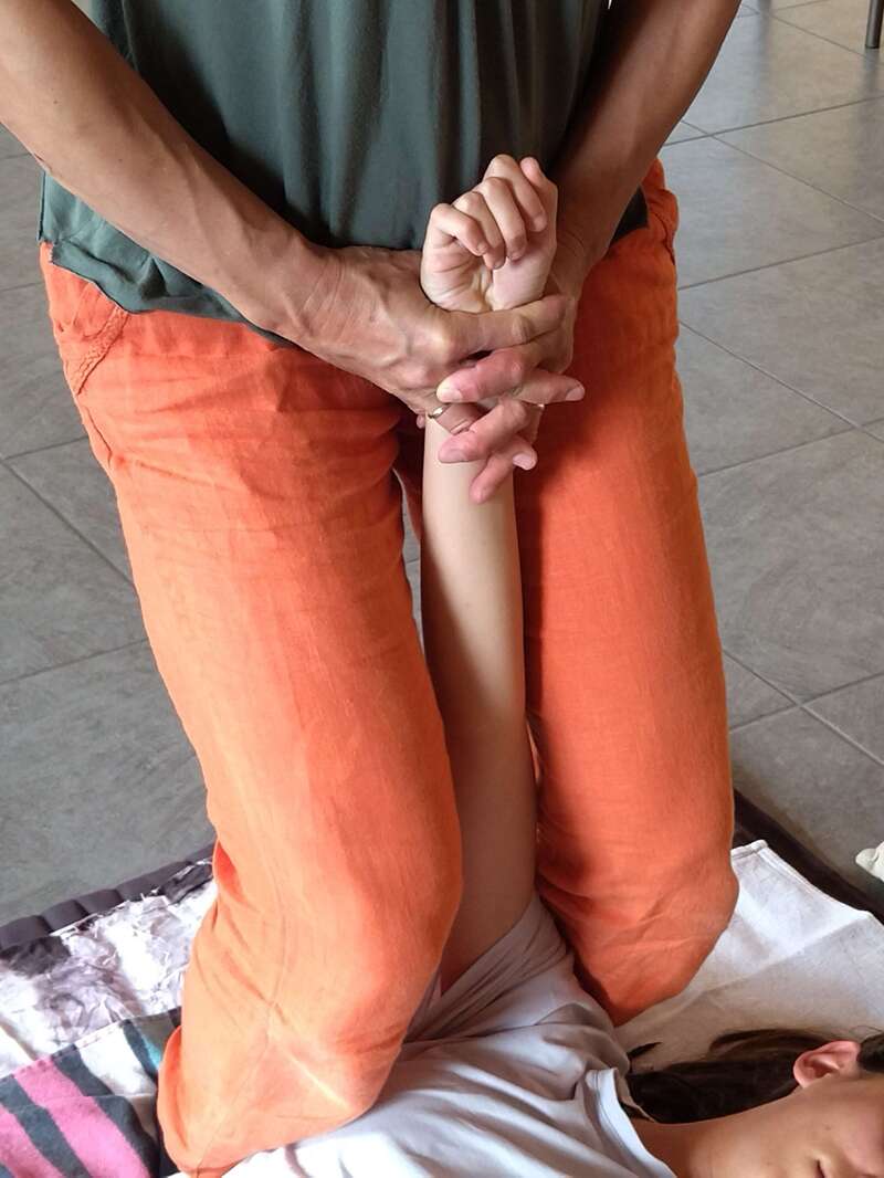 Une santé alternative et naturelle dans le sud du Morbihan