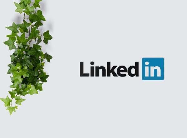 Pourquoi avoir une page professionnelle sur LinkedIn ?