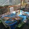 Table extérieure tropicale conviviale sur terrasse mobil-home