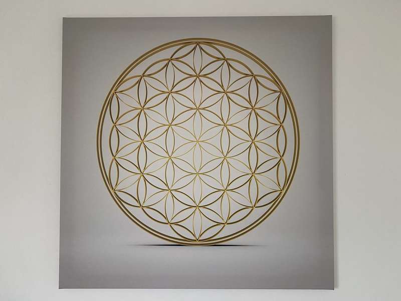 img_652420201004-1072960-11xt0uw