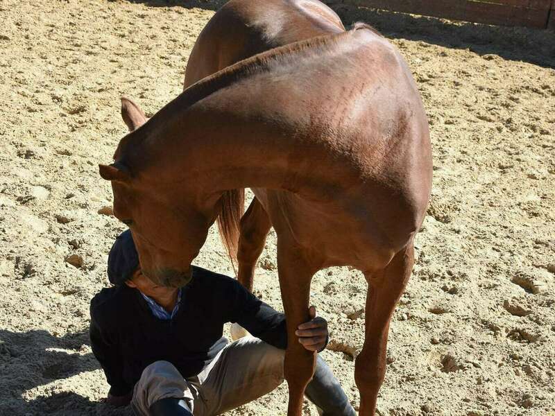 151076756_428392395273678_4659884013692916627_n