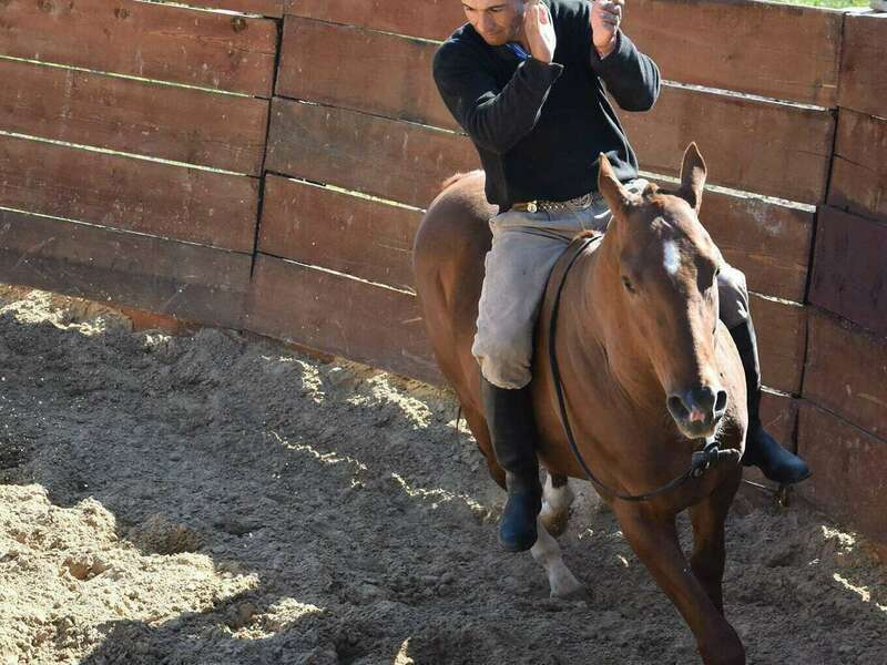 150996592_428392325273685_831094962213882968_n