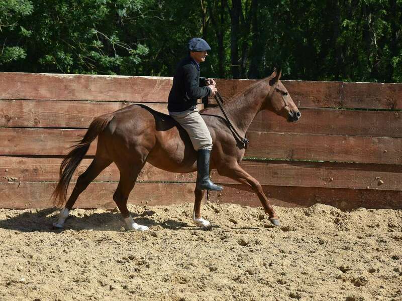 150347660_428392388607012_4914585905525202047_n