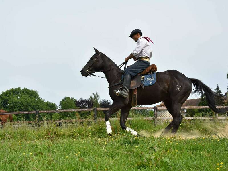 150453017_428389565273961_6408387094781721053_n