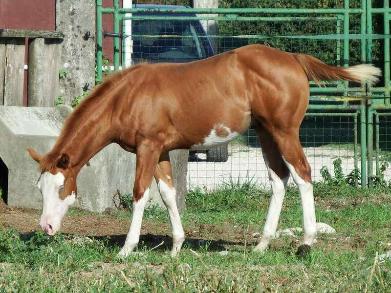 266731325_493542435387603_3542095227648297923_n