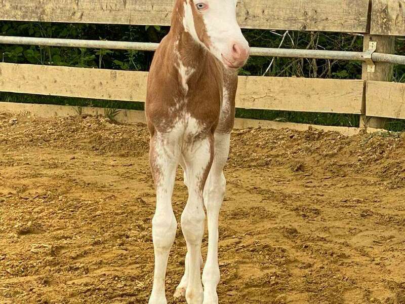 268042216_283245003821839_3989218074212057027_n