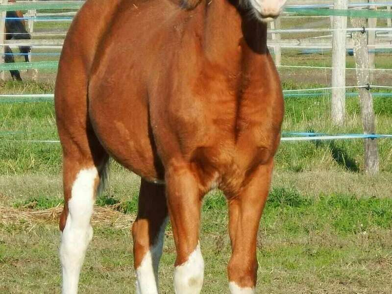 268345766_635910380932237_21835924357497487_n