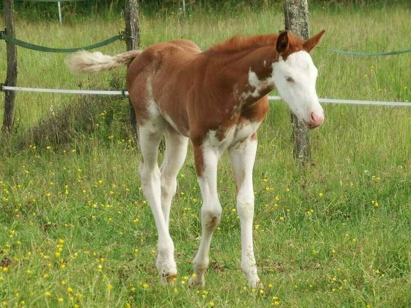 268420450_1316358668777238_8899838145675624501_n