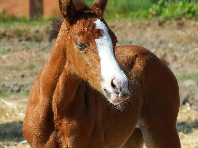 268446115_1209924072747339_8017209680587732477_n