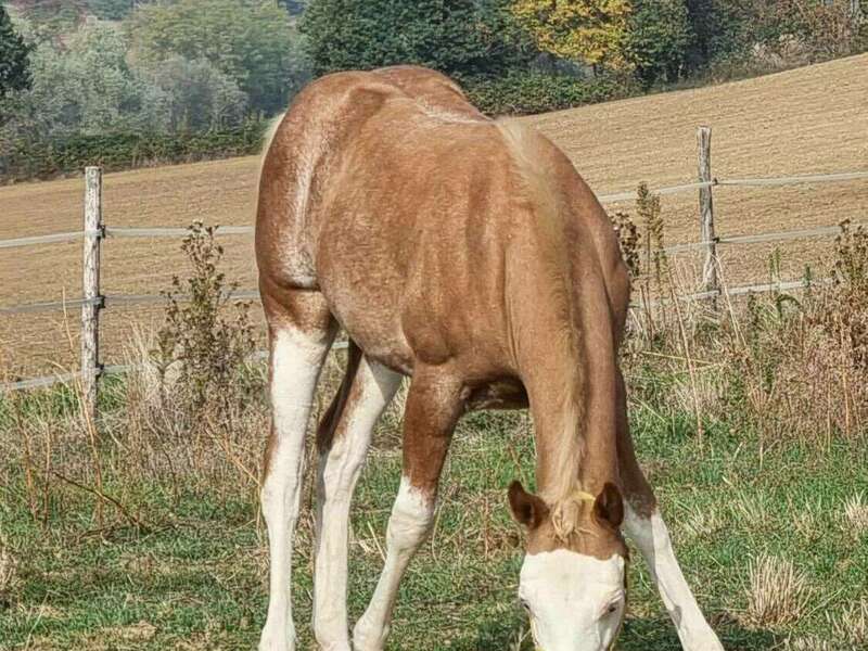 268462798_274064141275853_4474008628980163637_n